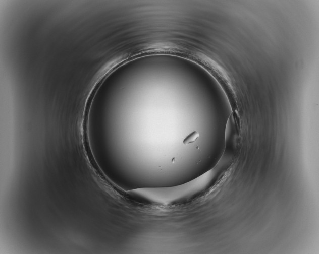 X0000096141330200801181125