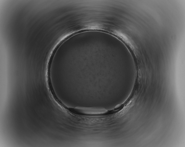 X0000096141331200801181125