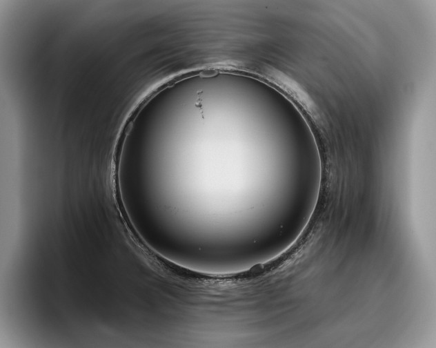 X0000096141332200801181125