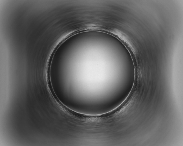 X0000096141333200801181125