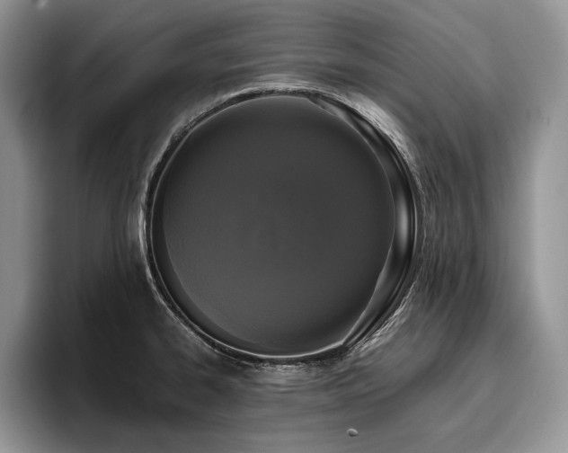 X0000096141334200801181125