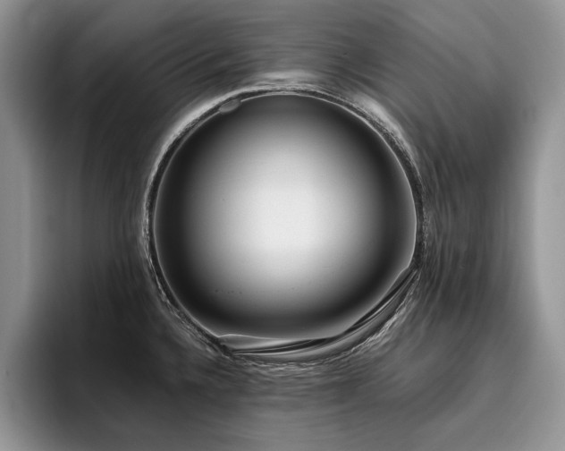 X0000096141336200801181125