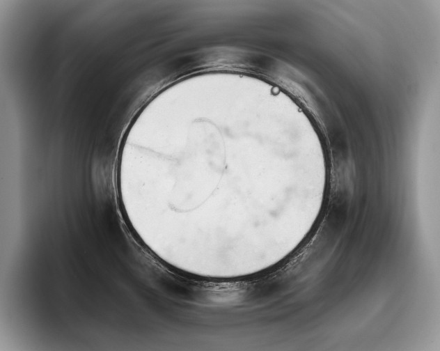 X0000096141338200801181125