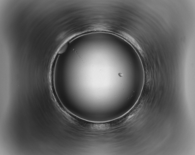 X0000096141339200801181125