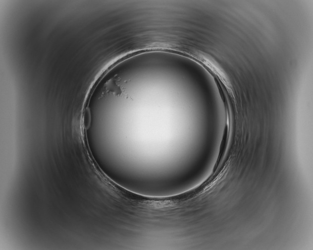 X0000096141340200801181125