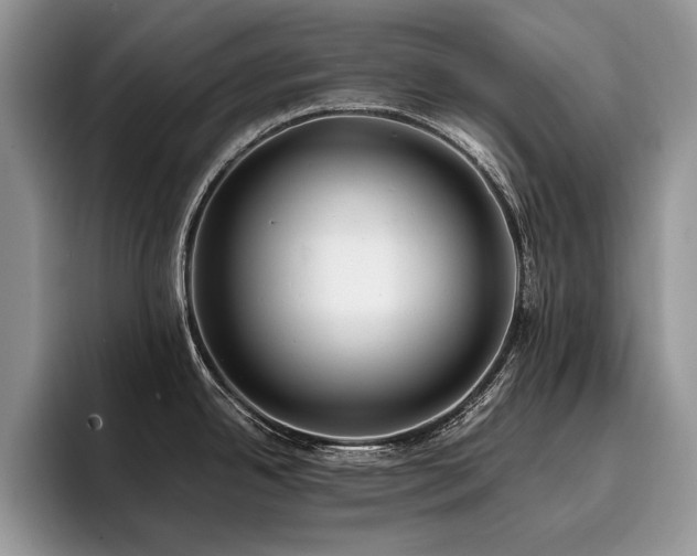 X0000096141342200801181125