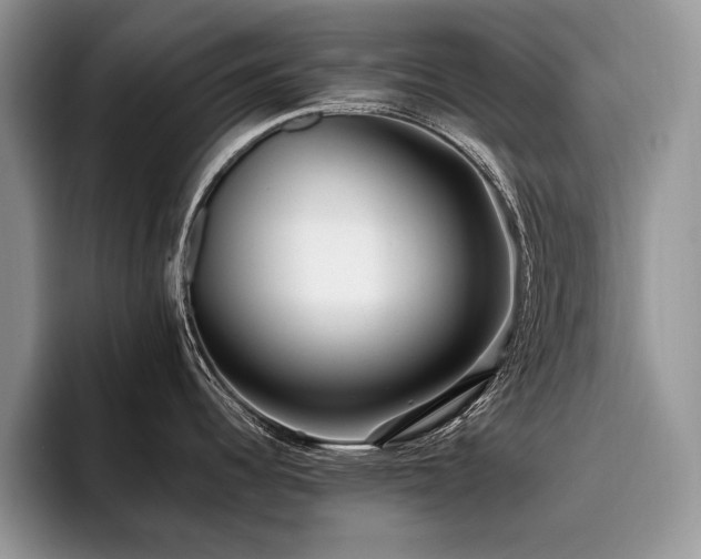 X0000096141344200801181125