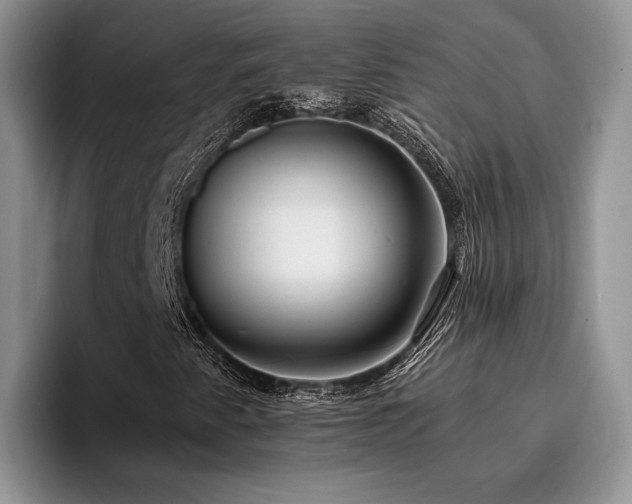 X0000096141345200801181124