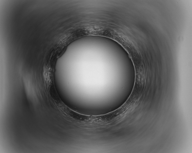 X0000096141346200801181124