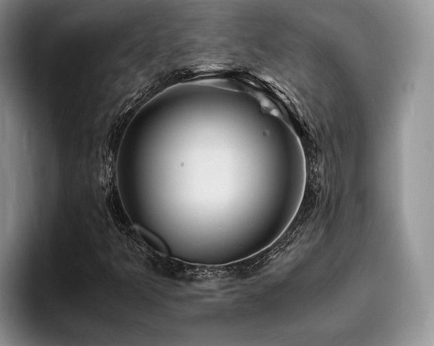 X0000096141349200801181124