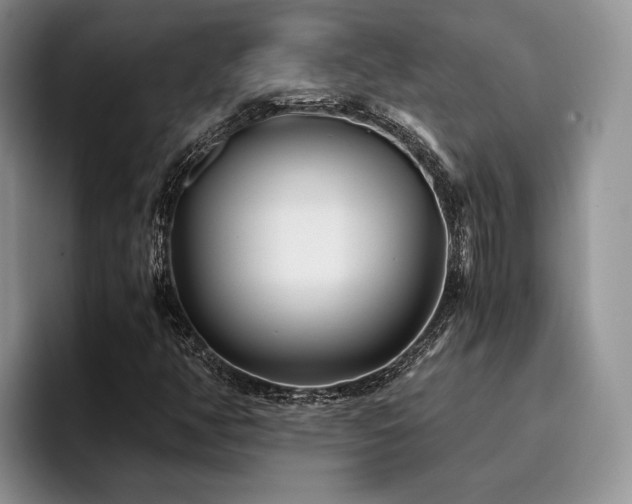 X0000096141350200801181124