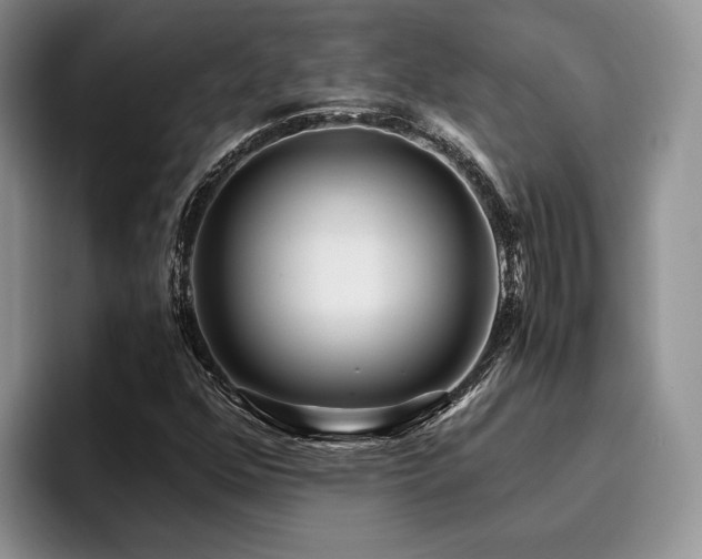 X0000096141352200801181124