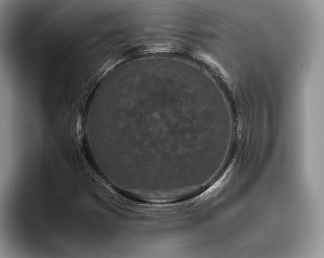 X0000096141353200801181124