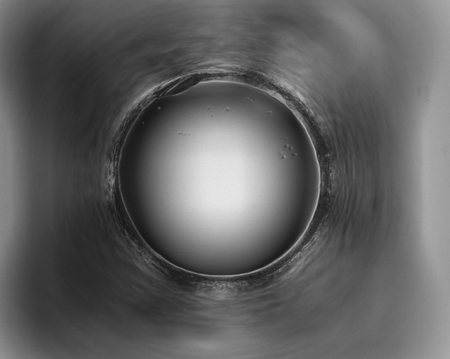 X0000096141355200801181124