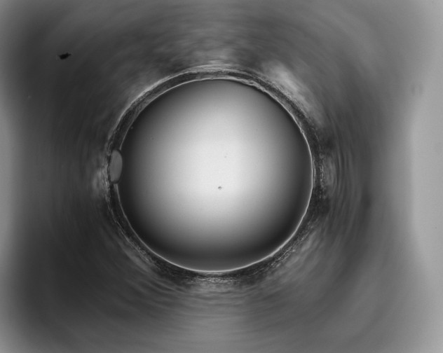 X0000096141356200801181124