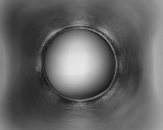 X0000096141358200801181124