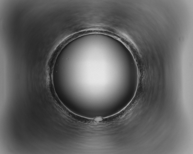 X0000096141360200801181124