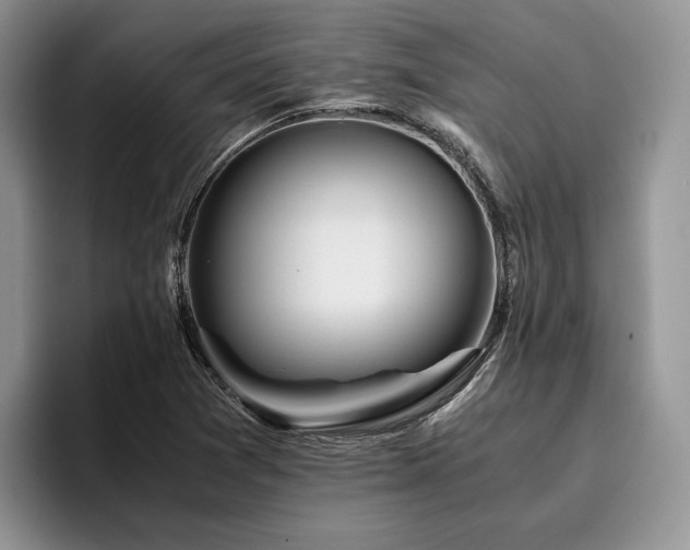 X0000096141361200801181124