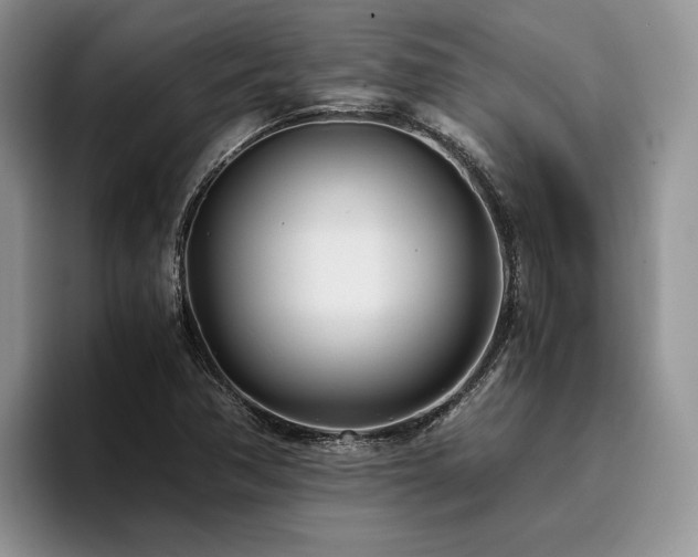 X0000096141362200801181124
