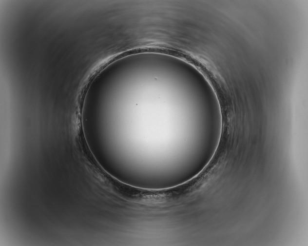 X0000096141363200801181124