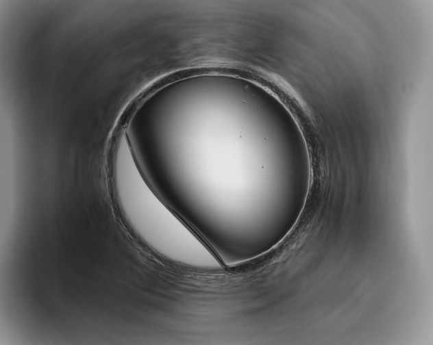 X0000096141364200801181124