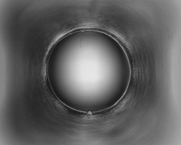 X0000096141366200801181124
