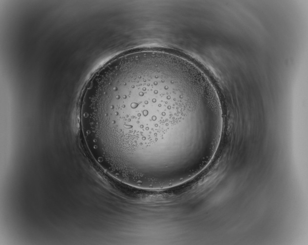 X0000096141367200801181124