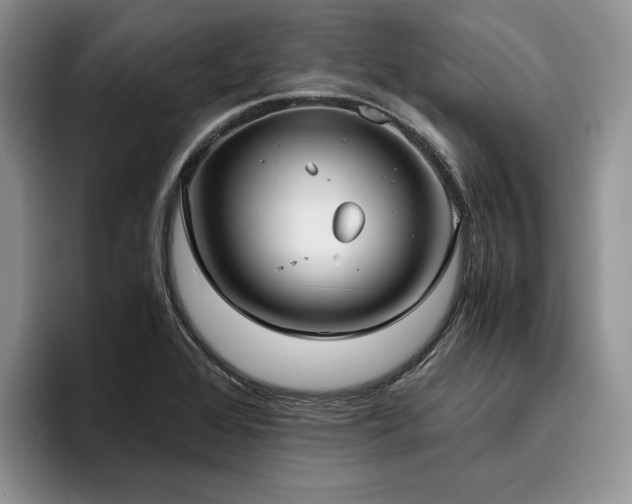X0000096141368200801181124