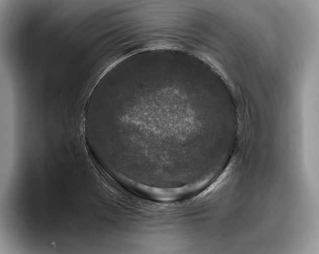 X0000096141369200801181124