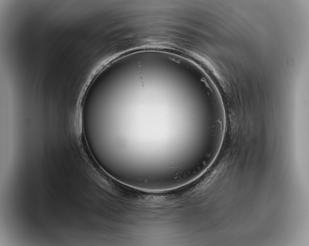 X0000096141371200801181124