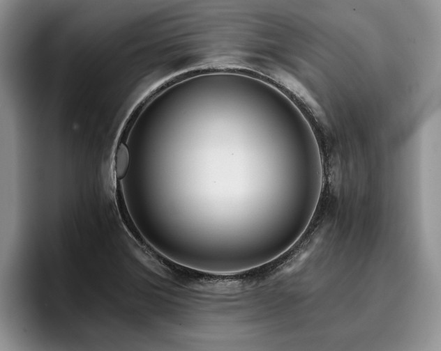 X0000096141372200801181124