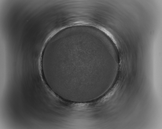 X0000096141373200801181124