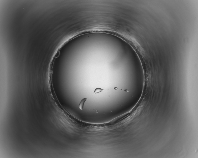 X0000096141374200801181124