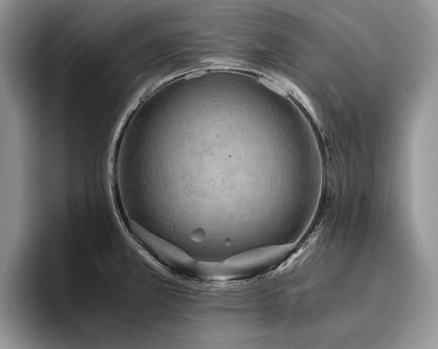 X0000096141381200801181124