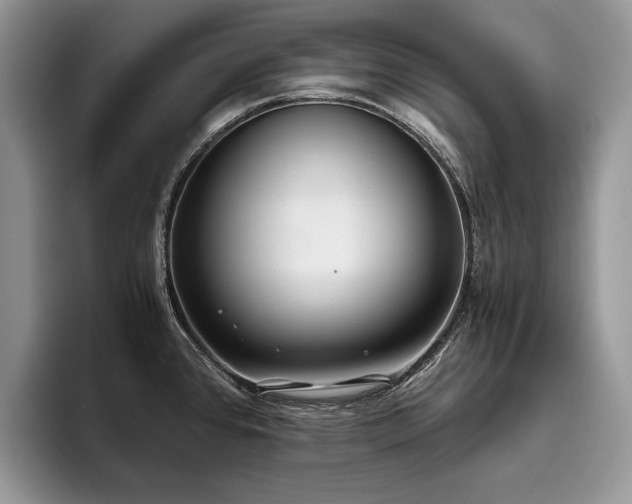 X0000096141384200801181124