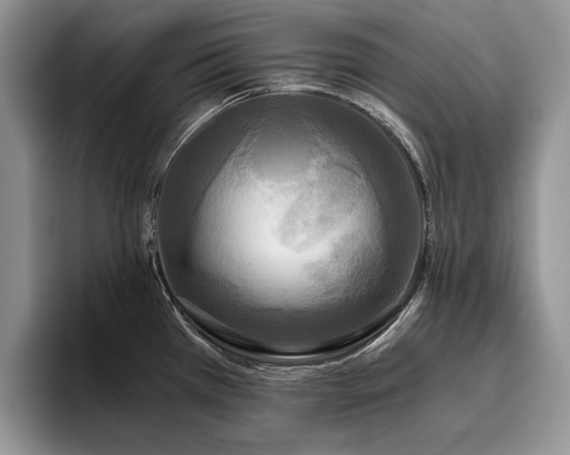 X0000096141385200801181124