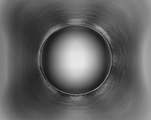 X0000096141386200801181124