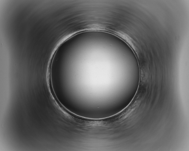 X0000096141387200801181124