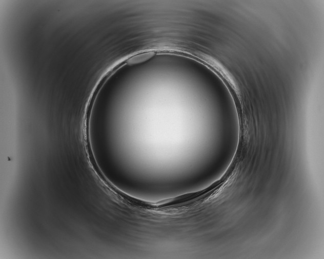 X0000096141388200801181124