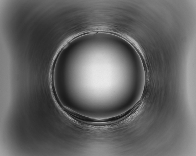 X0000096141389200801181124