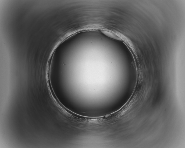 X0000096141390200801181124