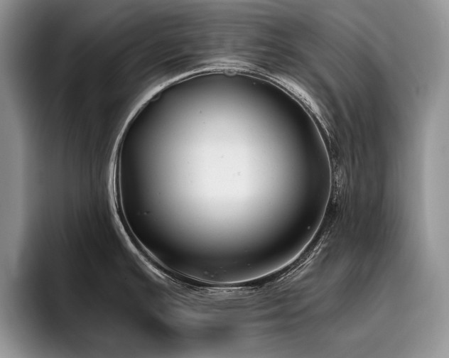 X0000096141391200801181124