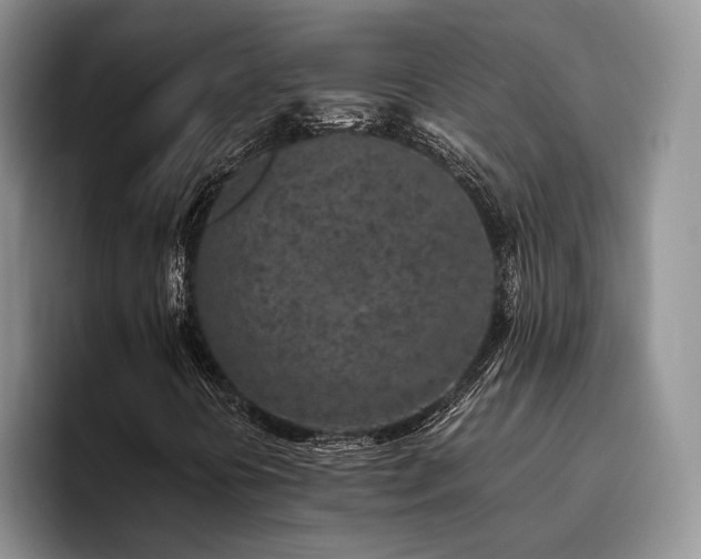 X0000096141394200801181123