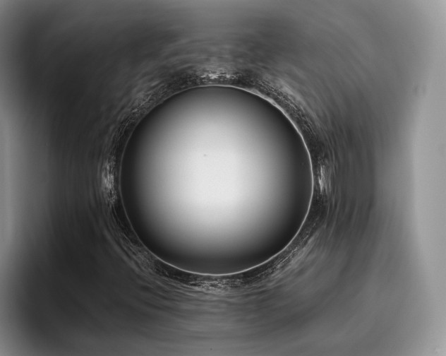 X0000096141396200801181123