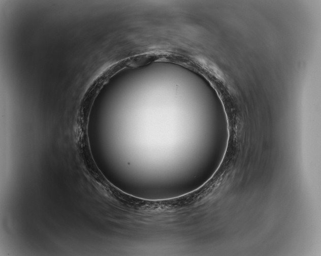 X0000096141400200801181123