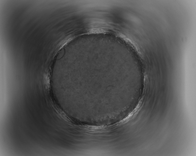 X0000096141401200801181123
