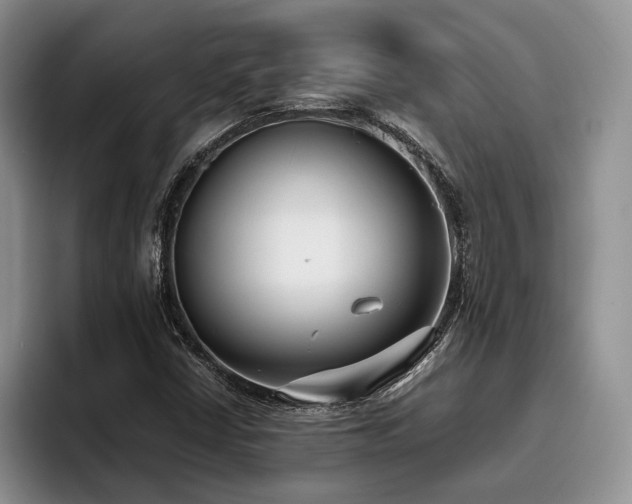 X0000096141402200801181123