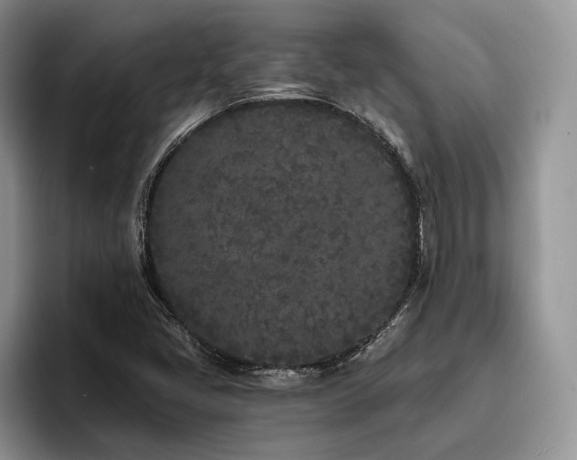X0000096141405200801181123
