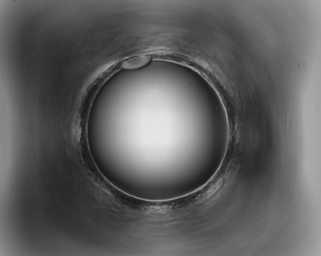 X0000096141406200801181123