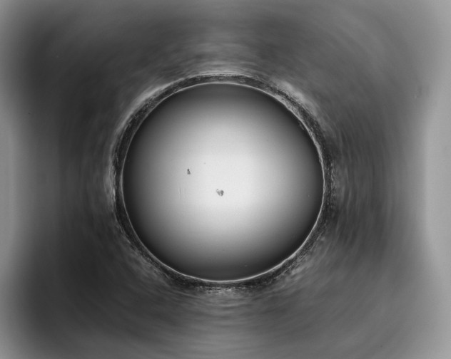 X0000096141408200801181123